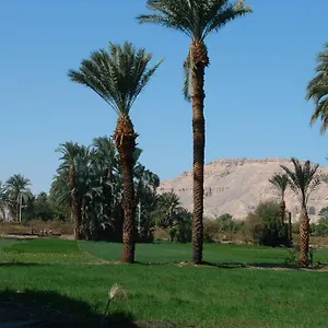 Sweet Luxor Lel Agalta